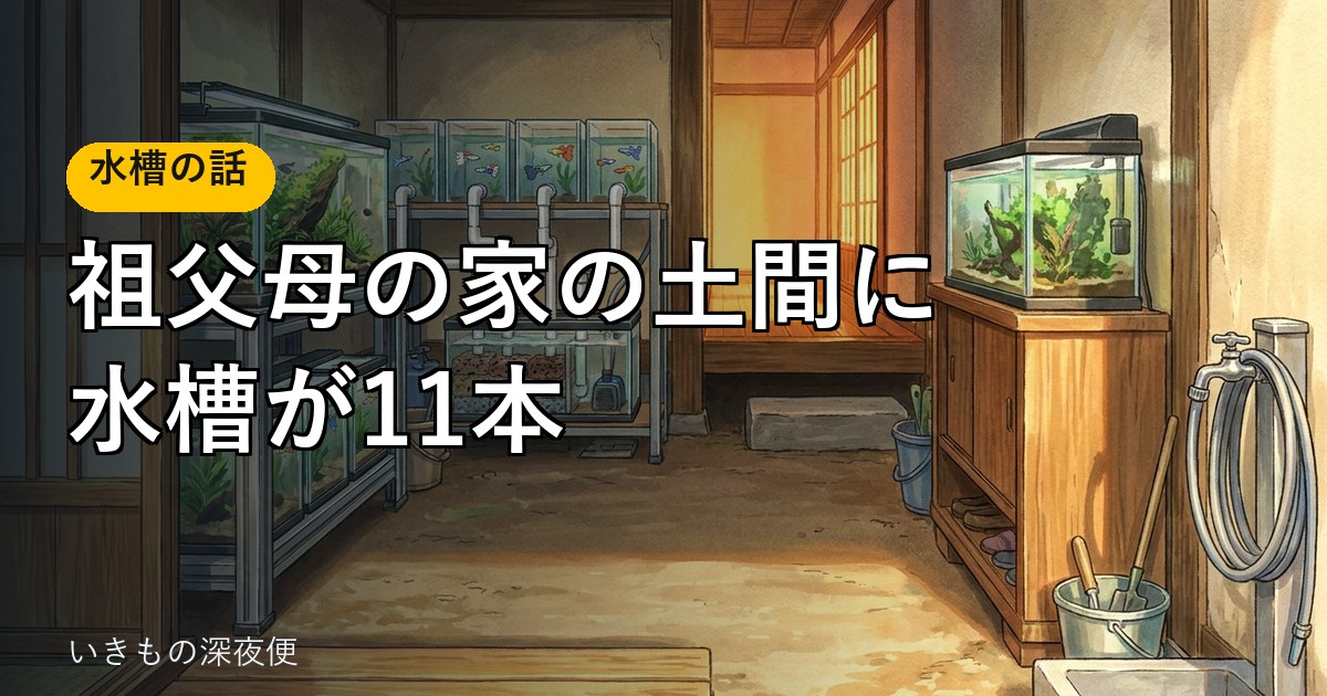 祖父母の家の土間に、水槽が11本あった。井戸水と庭への排水、自作の循環システム