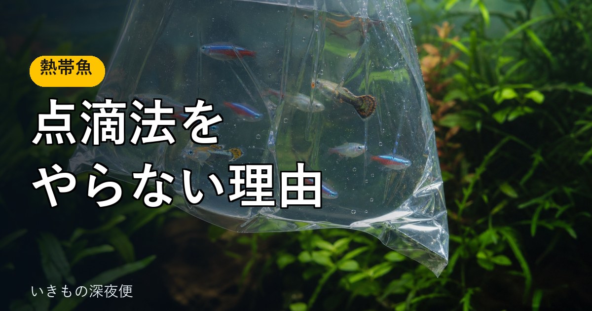 点滴法を、私がやらない理由。ショップでも卸でも使わなかった水合わせの話