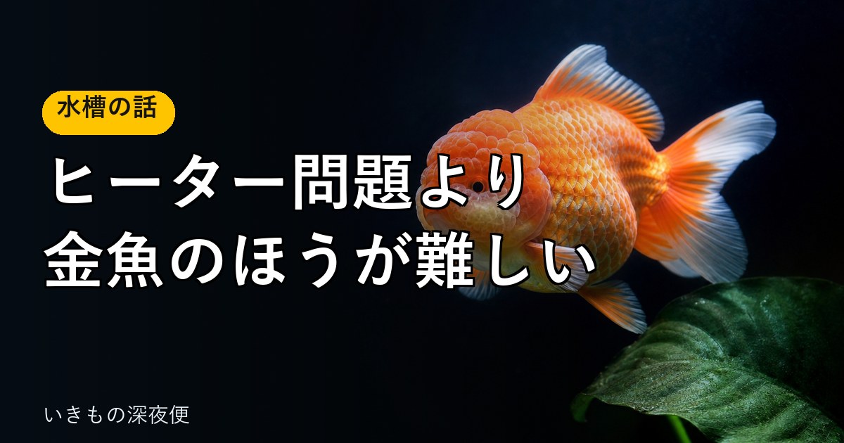 金魚から熱帯魚に戻ったらラクだった。ヒーター問題より、金魚のほうが難しい