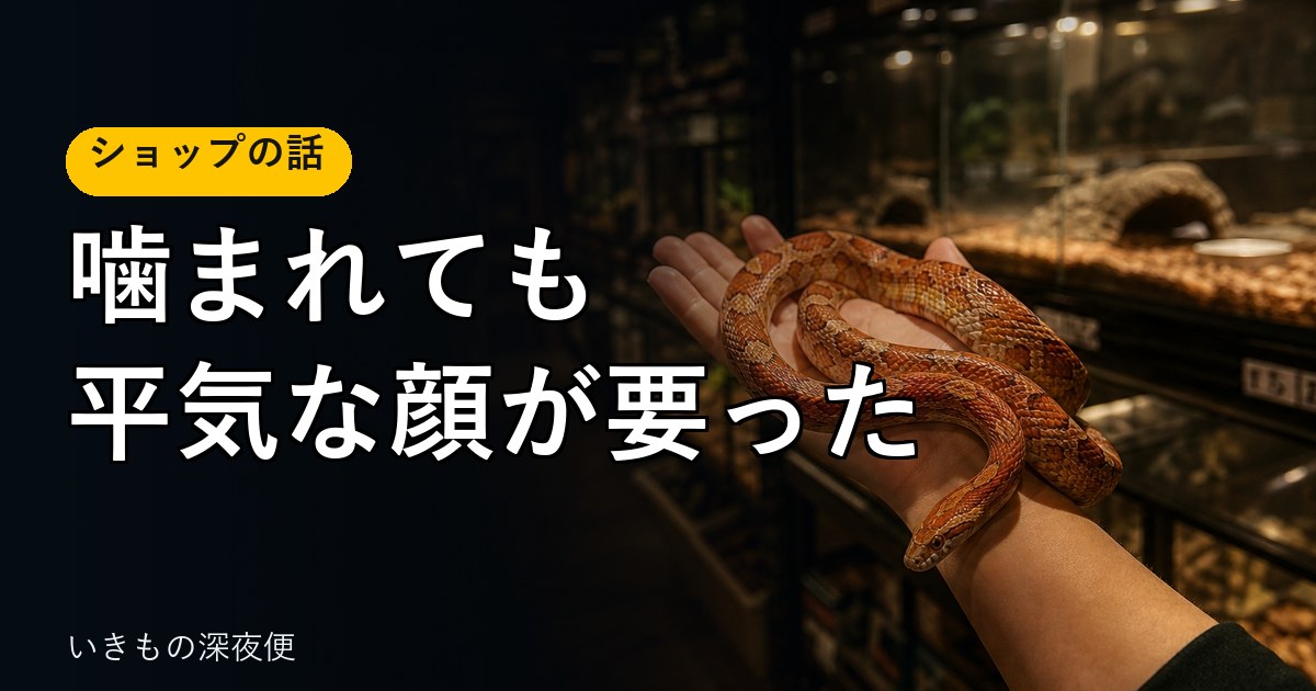 ヘビは飼いやすい。それでも売るには、噛まれても平気な顔が要った
