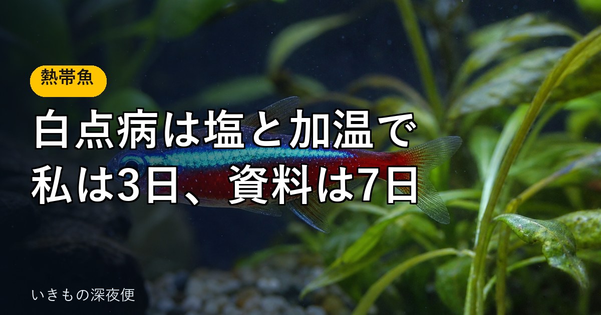 白点病は、塩と加温で治す。私は3日、公的な資料は7〜10日