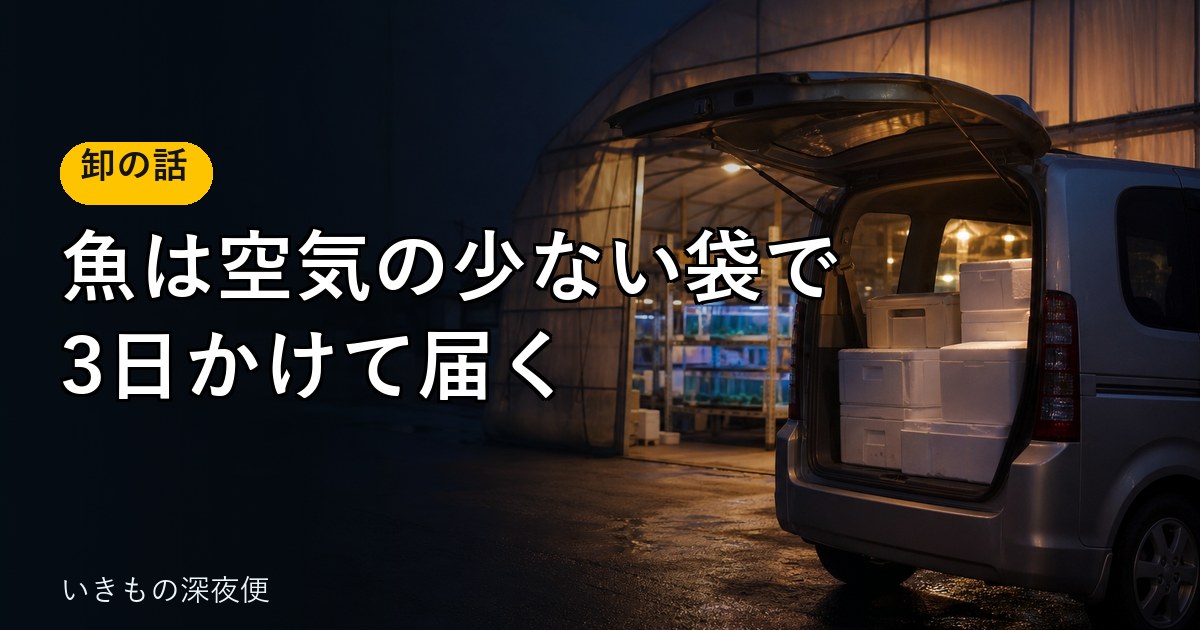 熱帯魚がお店に届くまで。卸の仕事で知った輸送のこと