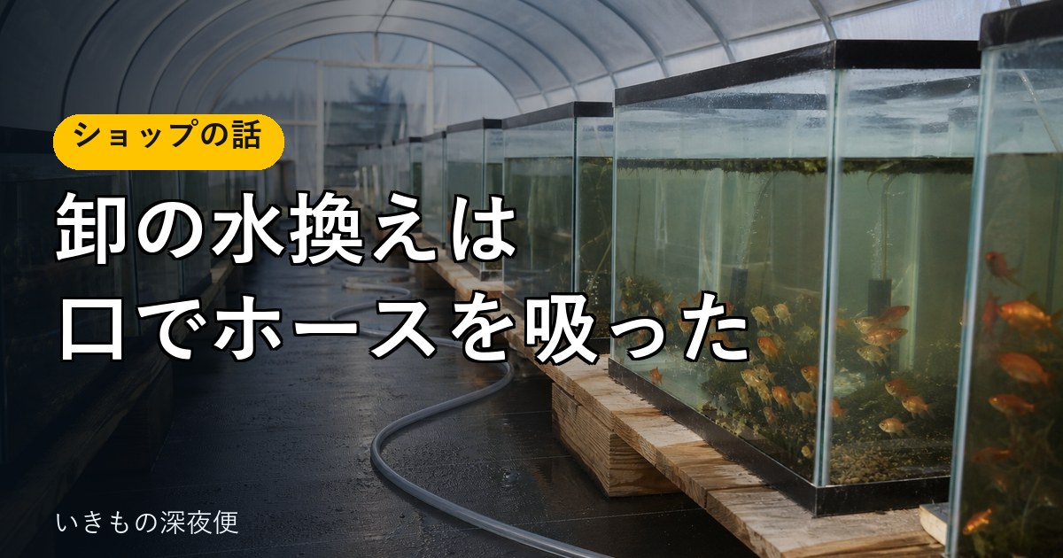 卸の現場の水換えは、ホースを口で吸っていた。100本のベアタンクと、飲んだ水の話