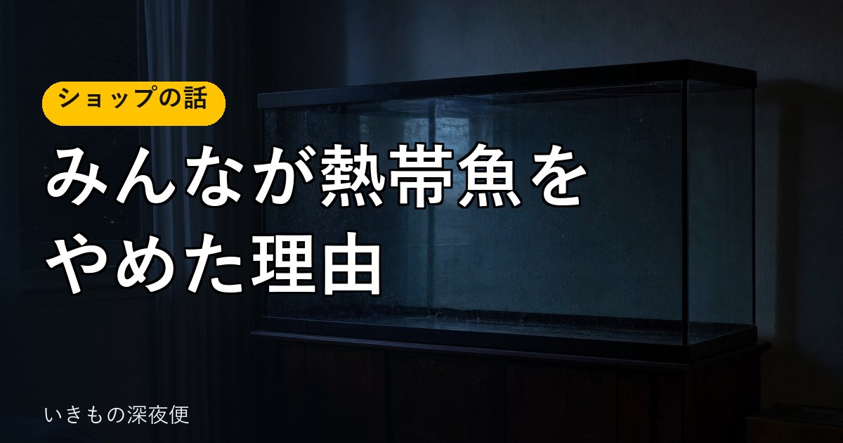 あの頃、みんなが熱帯魚をやめた。震災、不景気、電気代、そしてメダカ